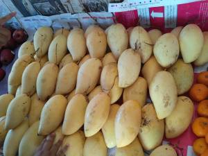 buah mangga Thailand yang terkenal itu perkg 60 baht gw beli 1 biji kena 20 baht